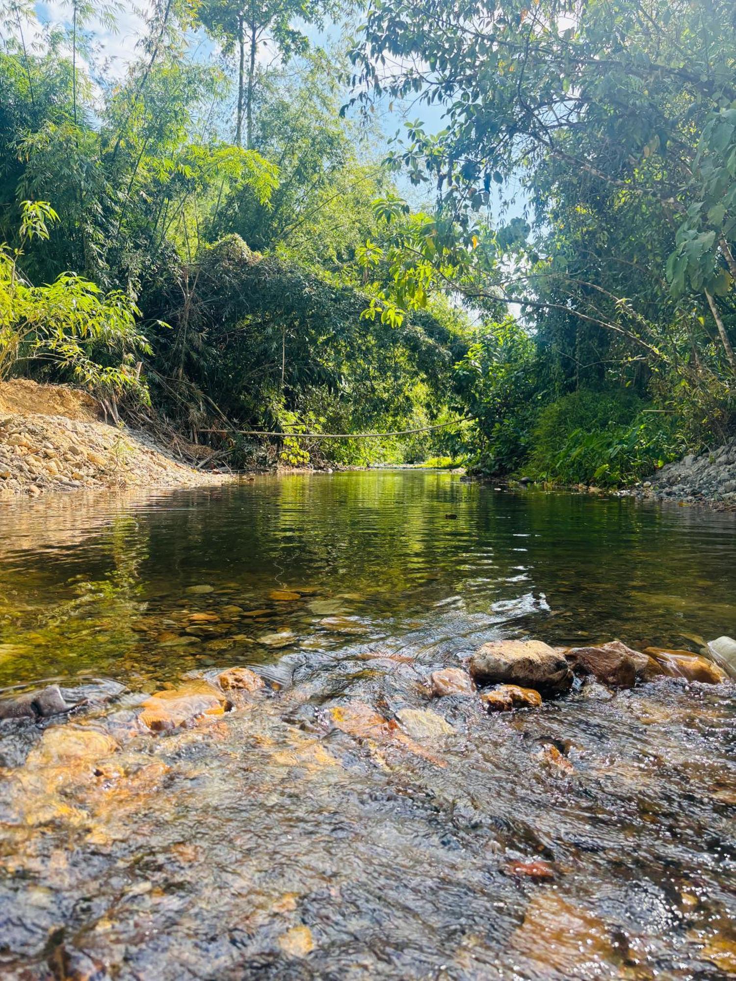 Camping Phutajoy Khaosok แคมป์ปิ้งภูตาจ้อยเขาศก Ban Thung Lang Tham Extérieur photo